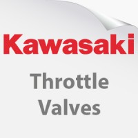 Kawasaki (genuine) Throttle Valves