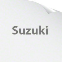 Suzuki Bearings