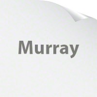 Murray Bearings