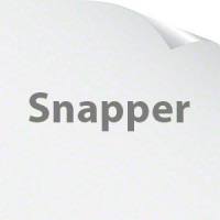 Snapper Bearings