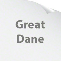 Great Dane Bearings